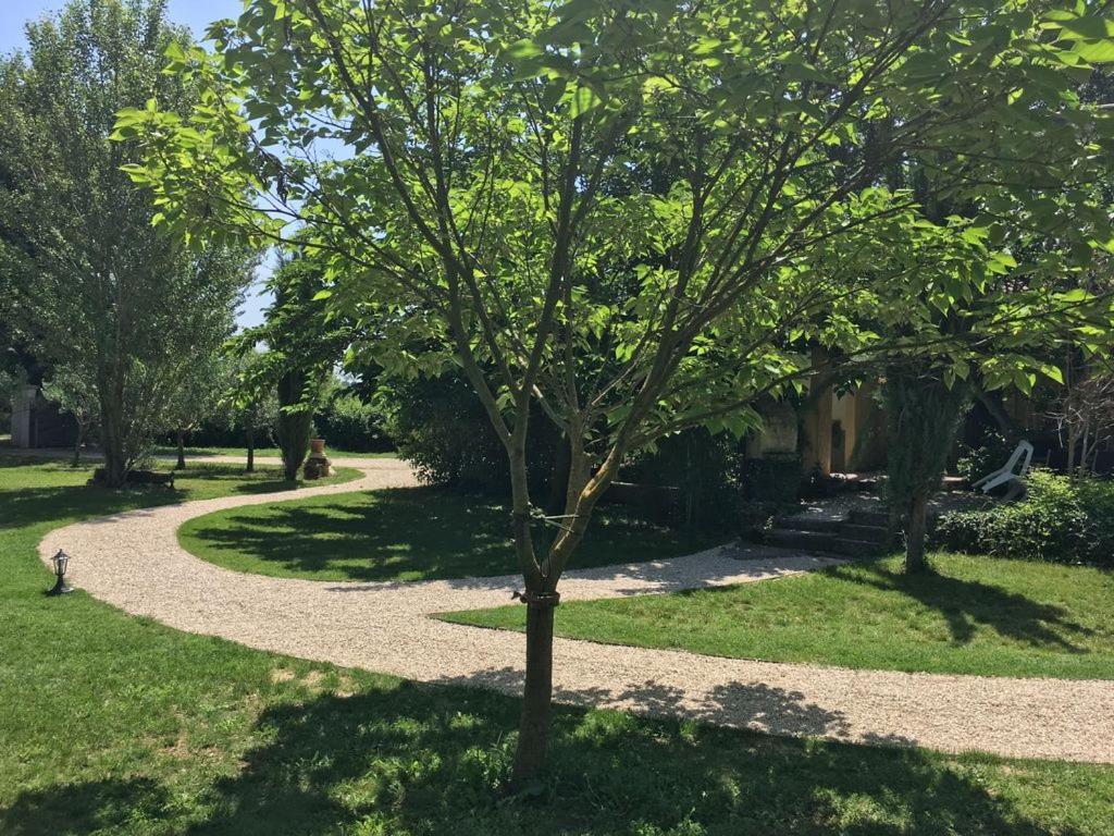 Gite Ventoux Loriol-du-Comtat Екстер'єр фото